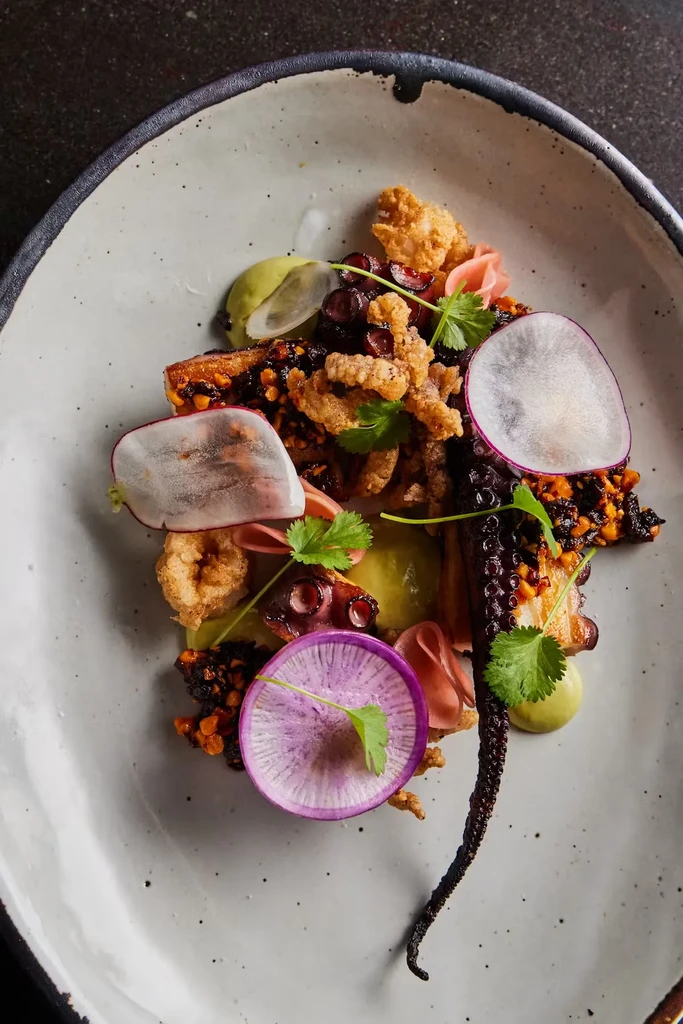 Overhead view of an octopus dish garnished with radishes.