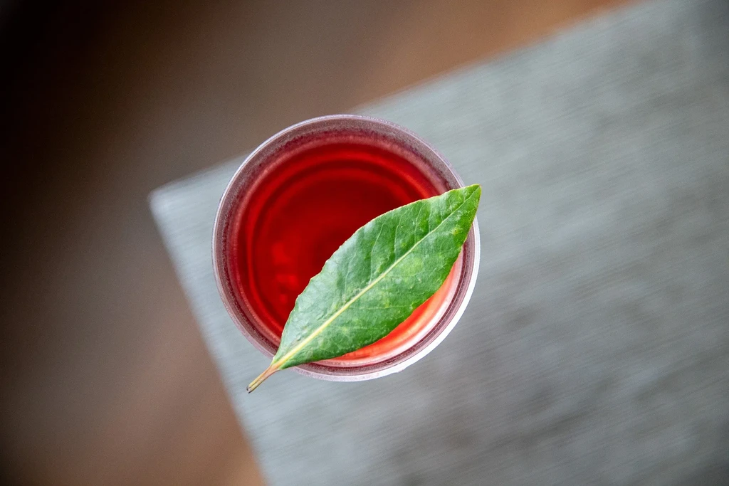 Overhead view of a glass of red beverage with a green leaf.