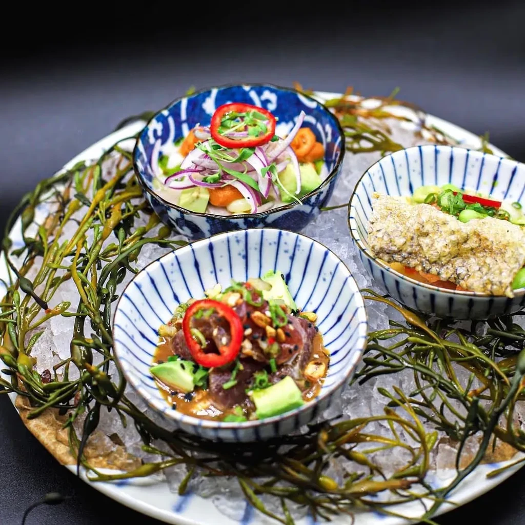 Three colorful seafood bowls on ice with green seaweed garnish.