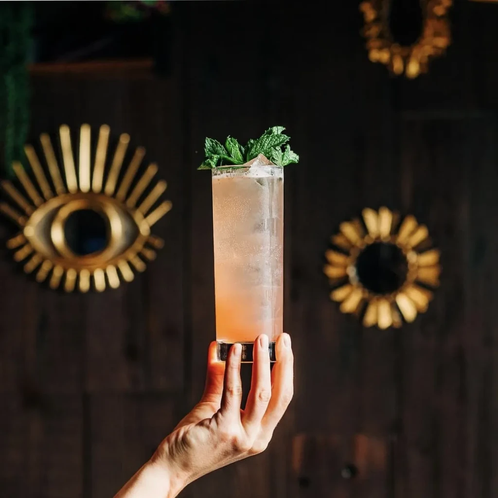 A hand holds a tall glass of pink cocktail with mint garnish.