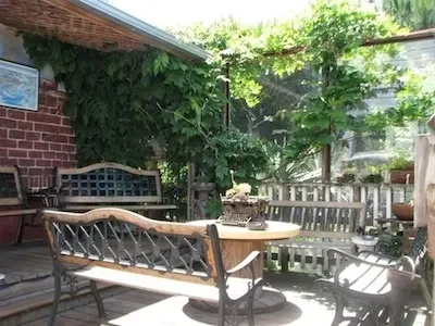 A rustic outdoor patio with wooden furniture and lush greenery.