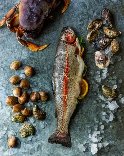 Fresh crab, trout, clams, and oysters on ice.