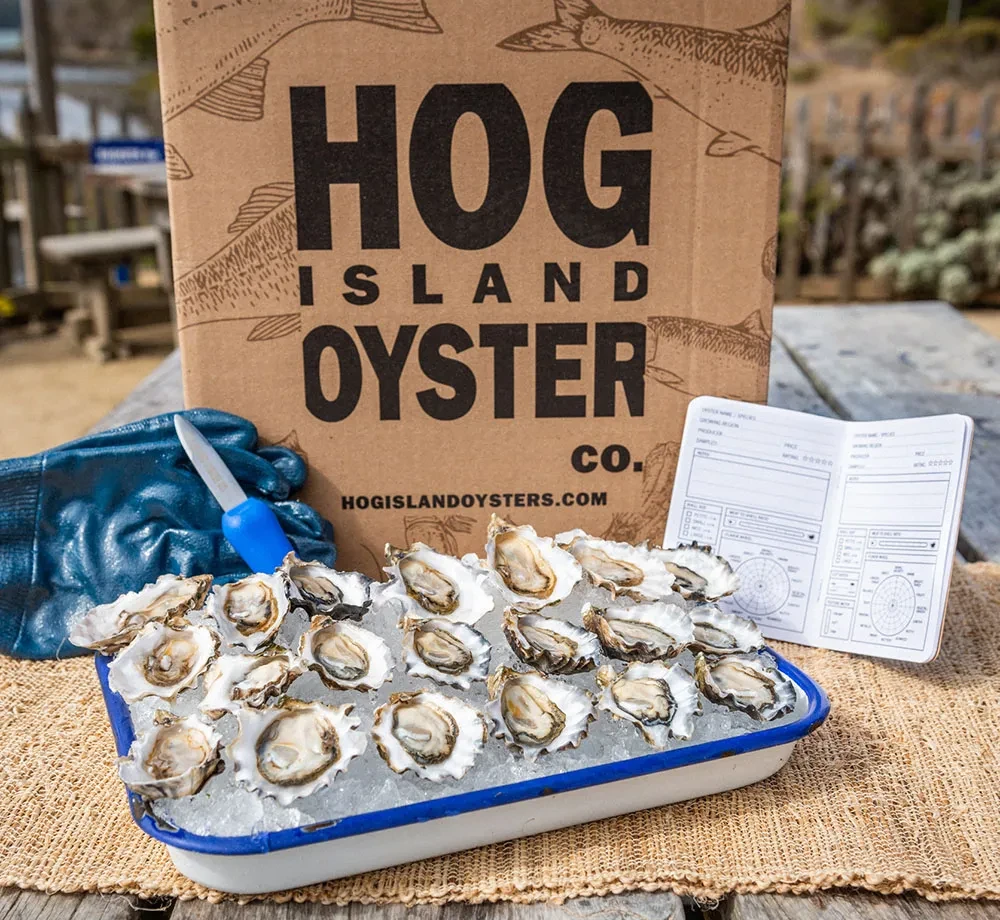 Hog Island Oyster Co.
