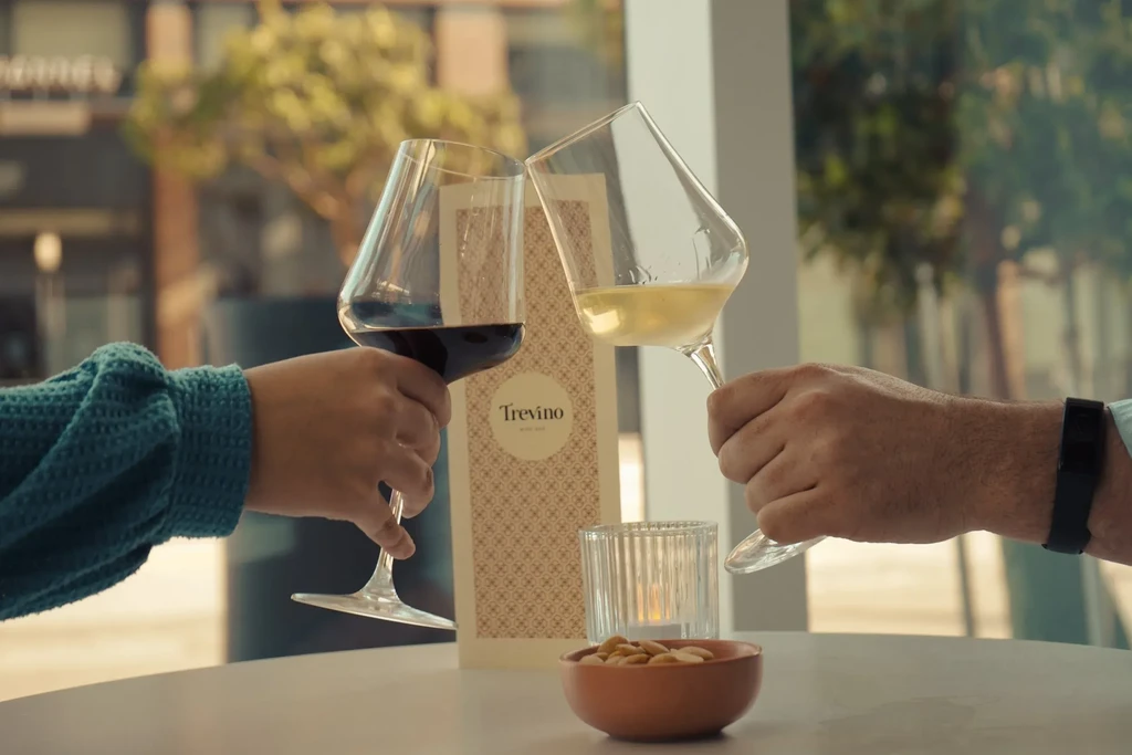 Two people toast with red and white wine at Trevino Wine Bar.