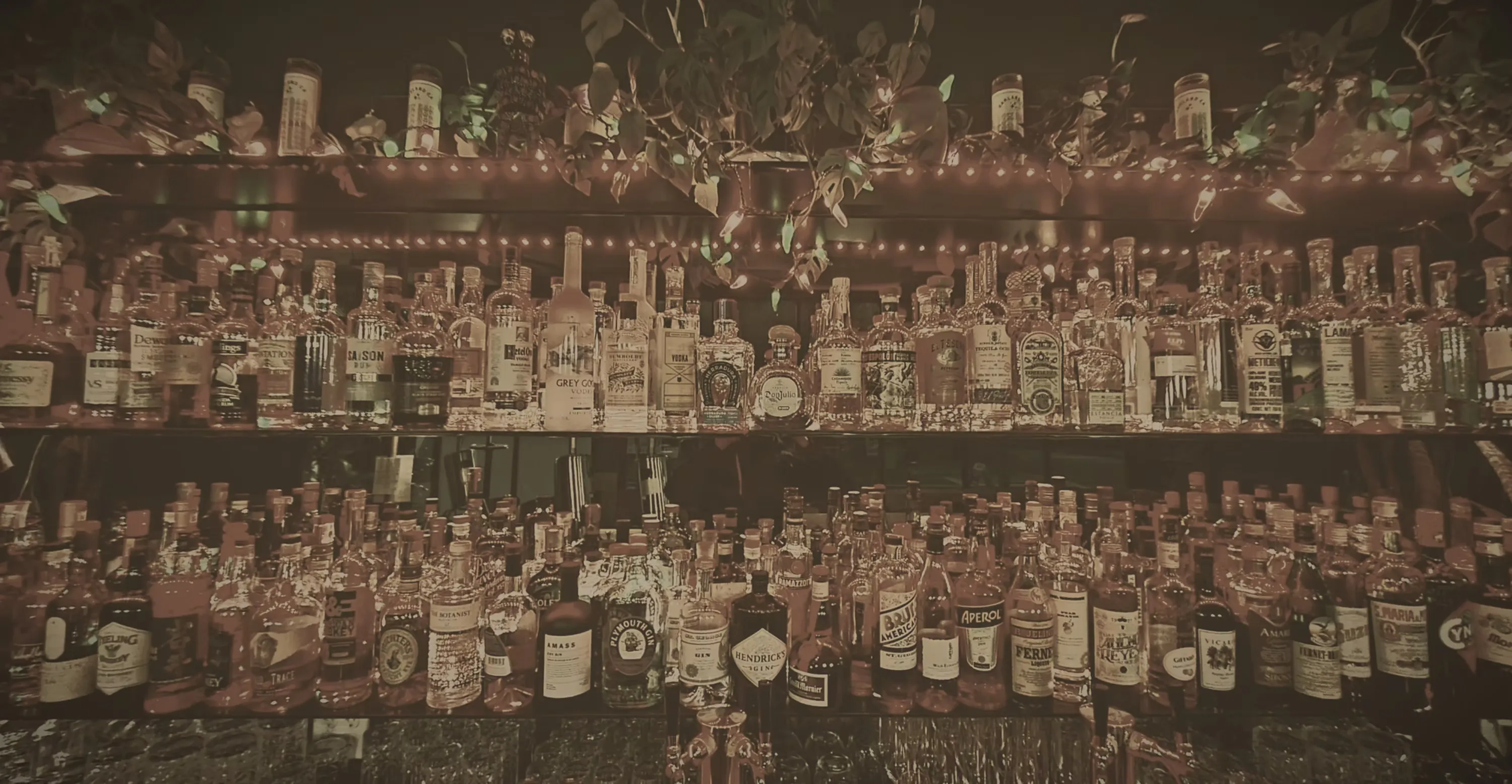 A well-stocked bar with liquor bottles, plants, and string lights.