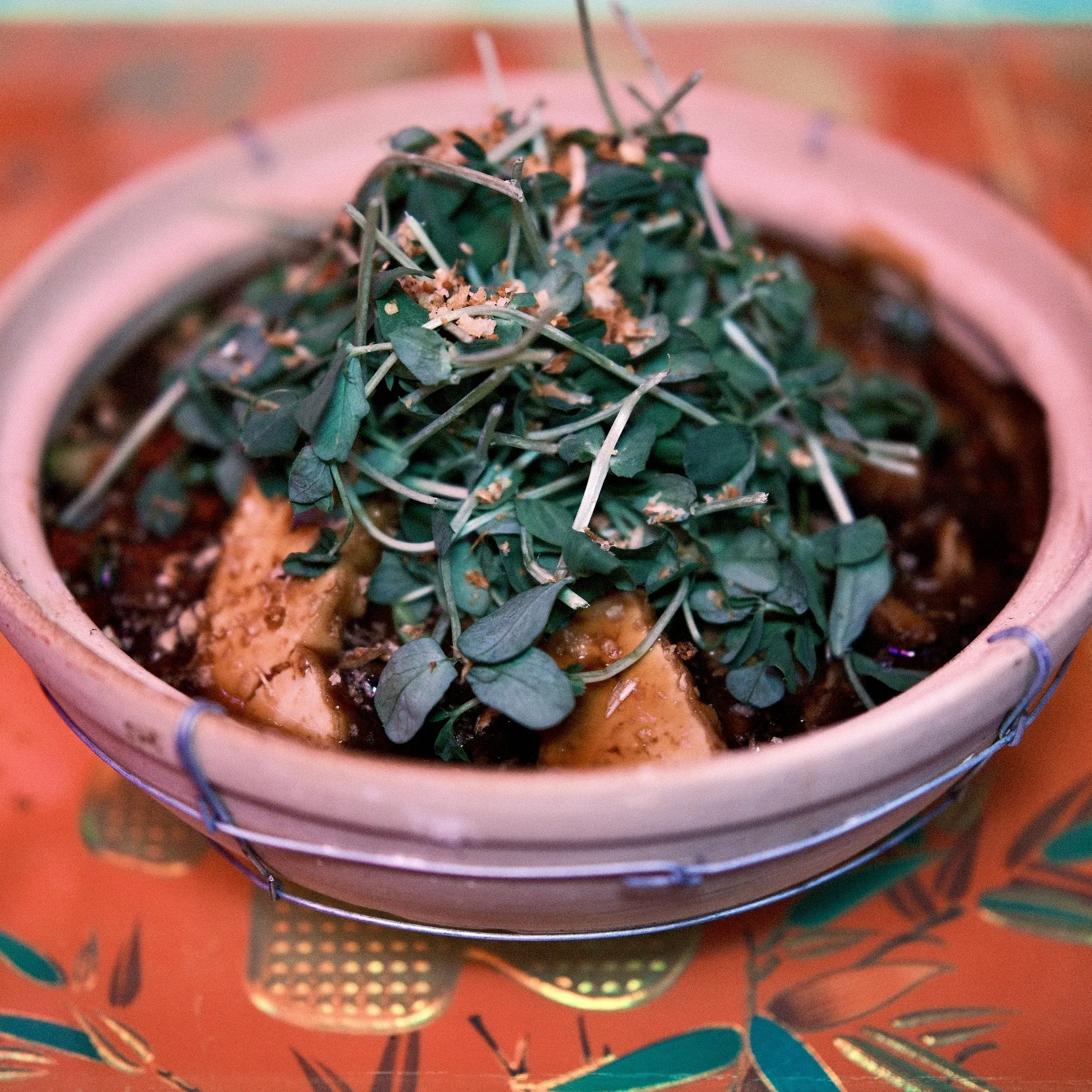 Food in clay pot: light cubes, dark sauce, green sprouts.