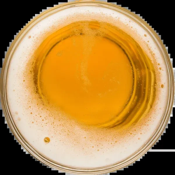 Top-down close-up of golden beer with frothy white head, black background.