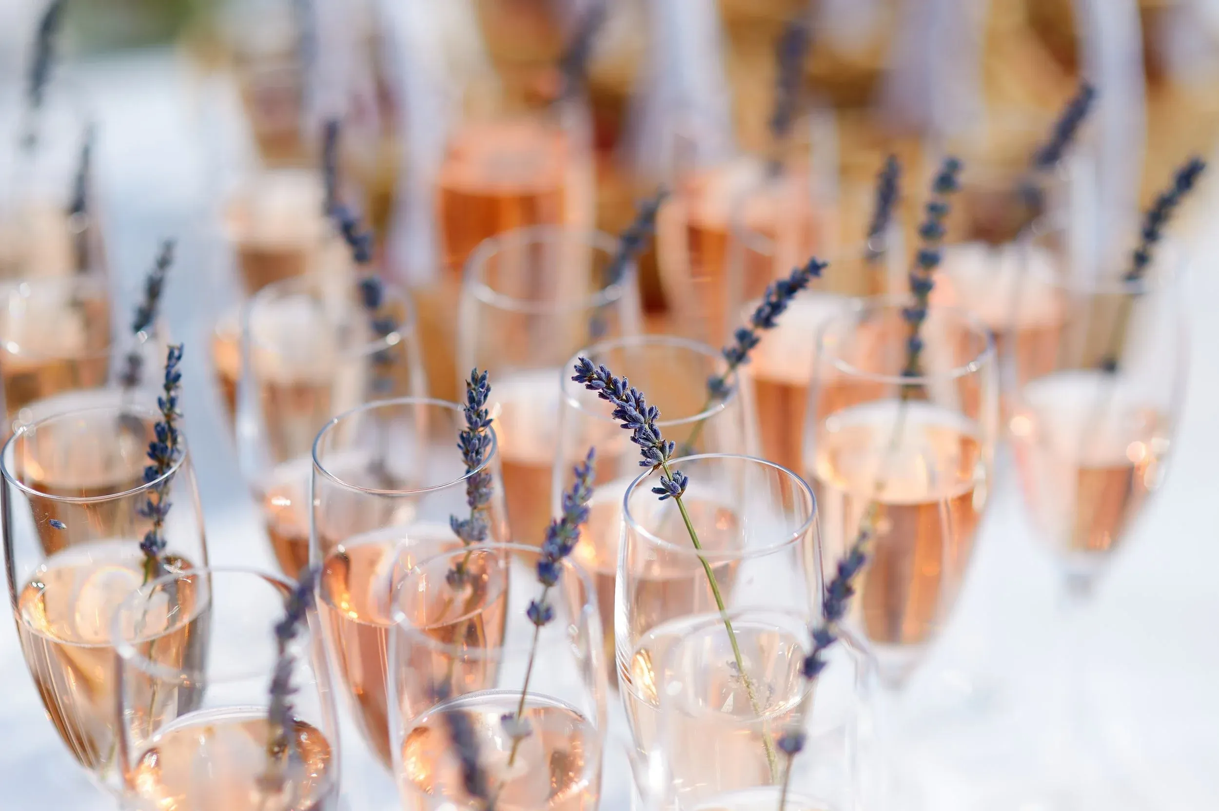 Many glasses of rose-colored drinks with lavender sprigs.