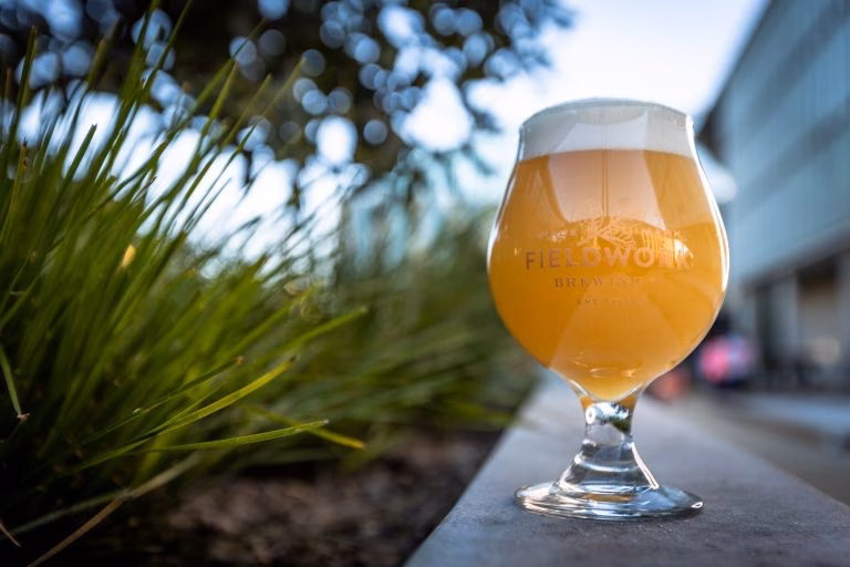 Fieldwork Brewing beer in a glass on a ledge next to grass.