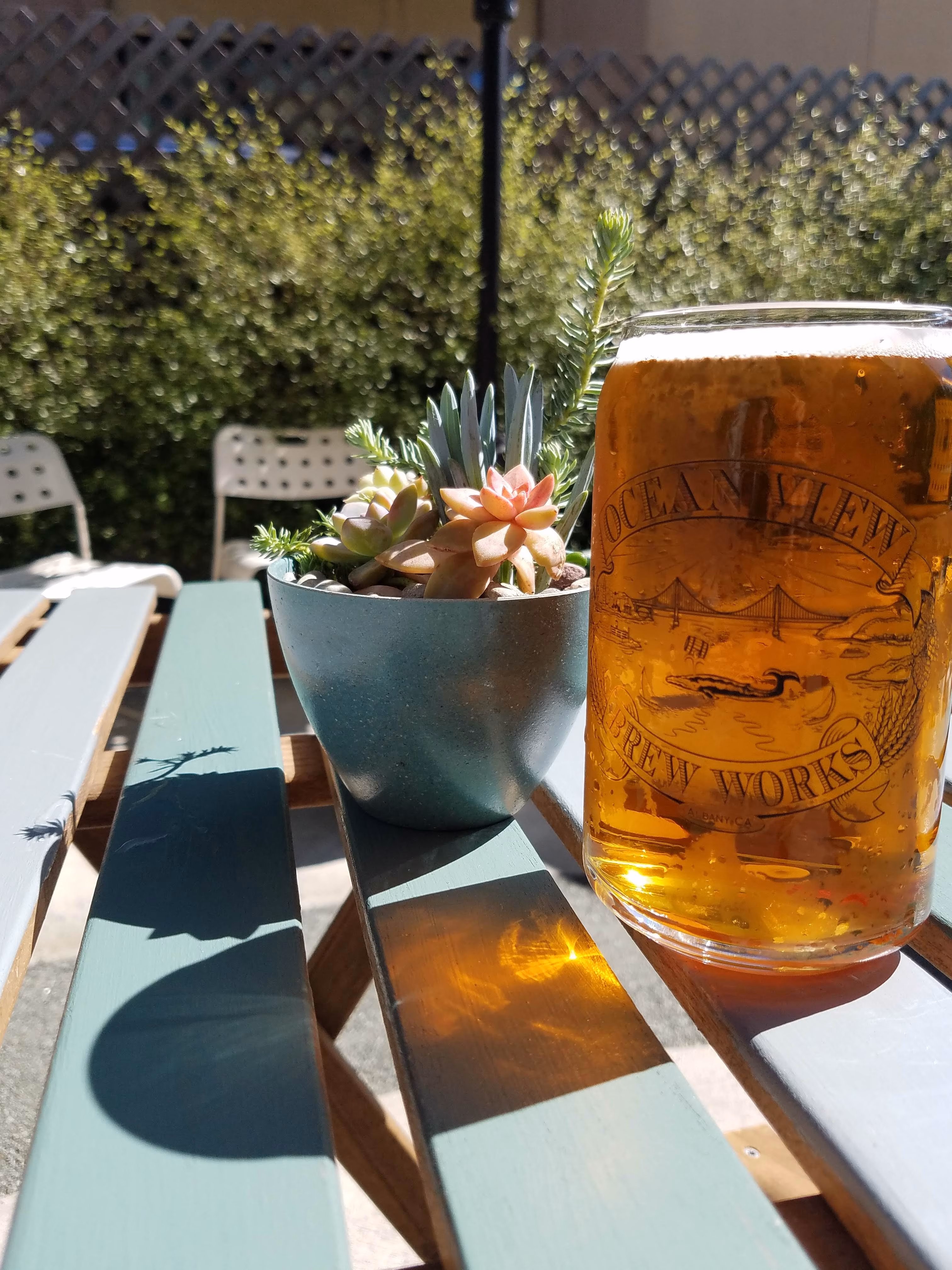 Glass of Oceanview Brew Works beer and succulents on outdoor table.