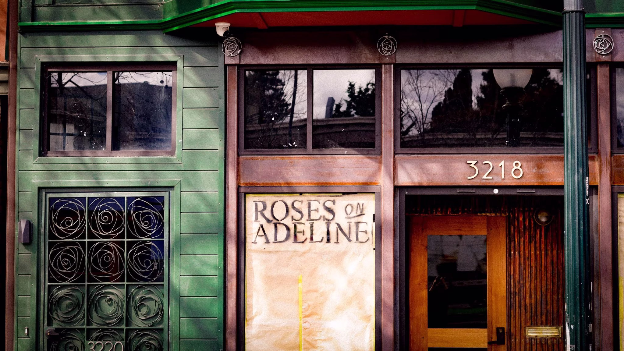 Roses on Adeline