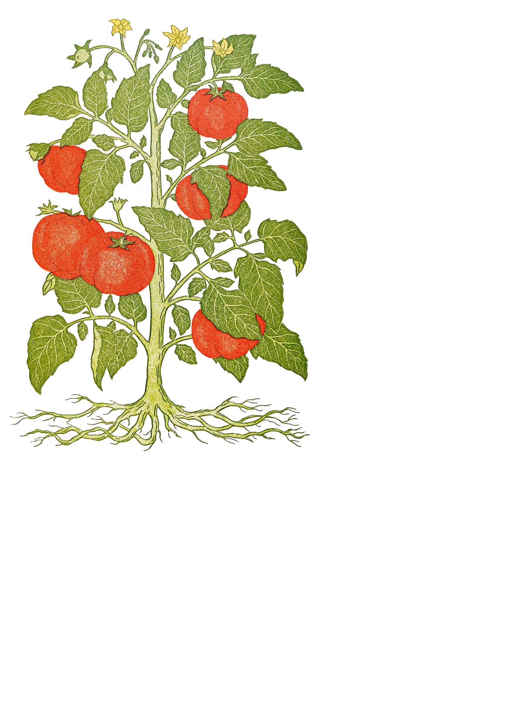 Chez Panisse