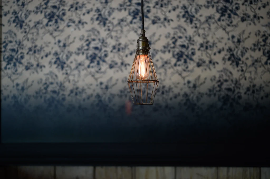 Industrial light with warm Edison bulb against blue floral wallpaper.