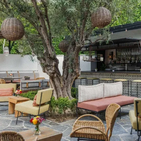 Outdoor restaurant patio with large tree, hanging lanterns, flagstones, and a bar.