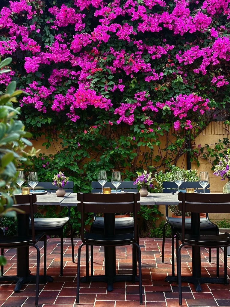 Outdoor restaurant patio with fuchsia bougainvillea wall and set tables, no people.