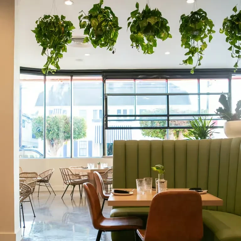 Modern restaurant interior with green plants, large windows, and varied seating.