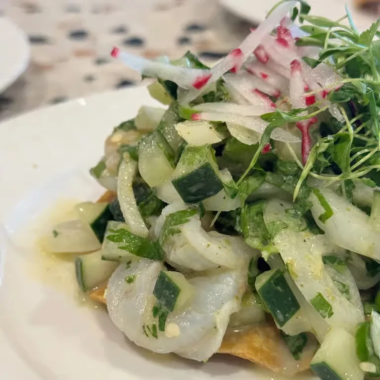 Close-up of a fresh seafood tostada with cucumber, radish, and microgreens.