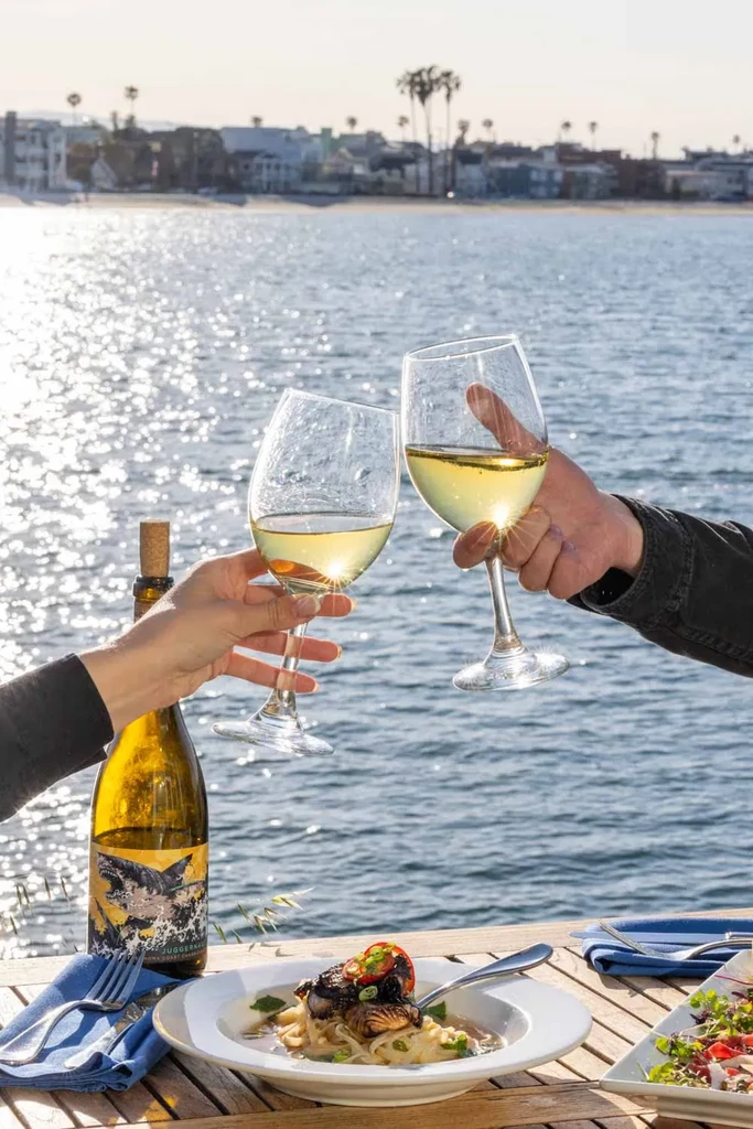 Two hands clink wine glasses over food at waterfront table.