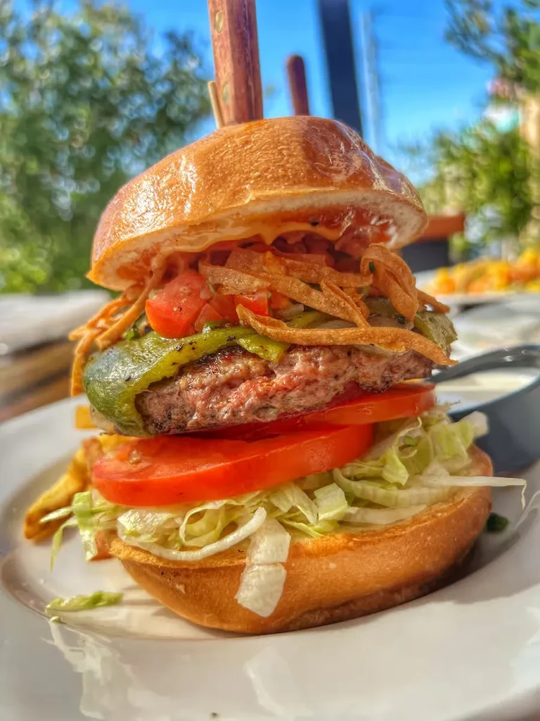 Large char-grilled burger with green pepper, tortilla strips, and fries.