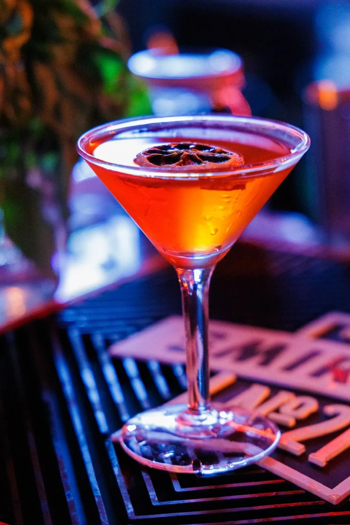 Orange-red cocktail in a martini glass with a dried citrus garnish.