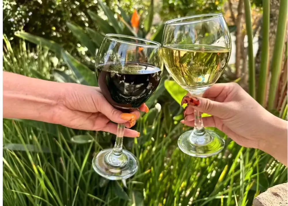 Hands holding red and white wine glasses toasting outdoors.
