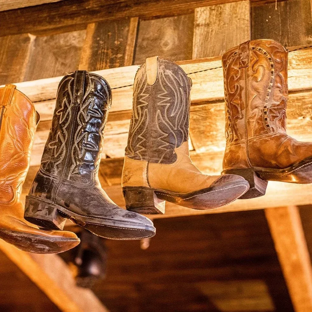 Four worn, colorful cowboy boots hanging on a rustic wooden beam.