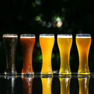 Five beer glasses in a row, from dark stout to golden lager.