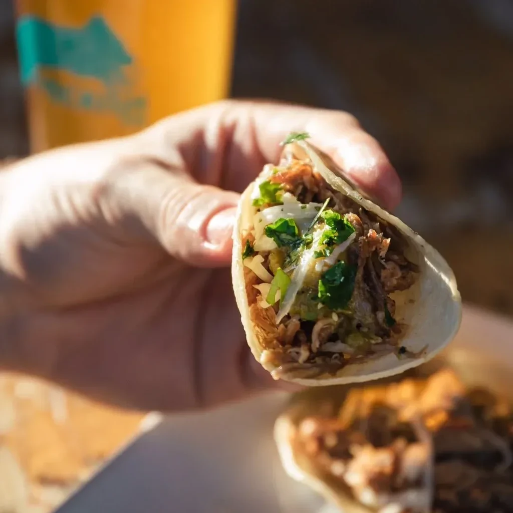 Close-up of a hand holding a taco filled with meat and toppings.