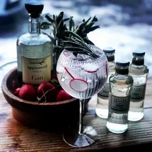 Gin and tonic with radishes, rosemary, applewood gin, and tonics.