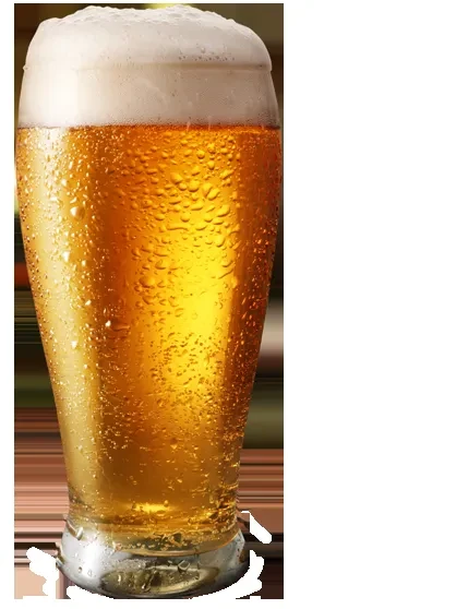 Pilsner glass, frosty, with golden beer and a thick white foam.