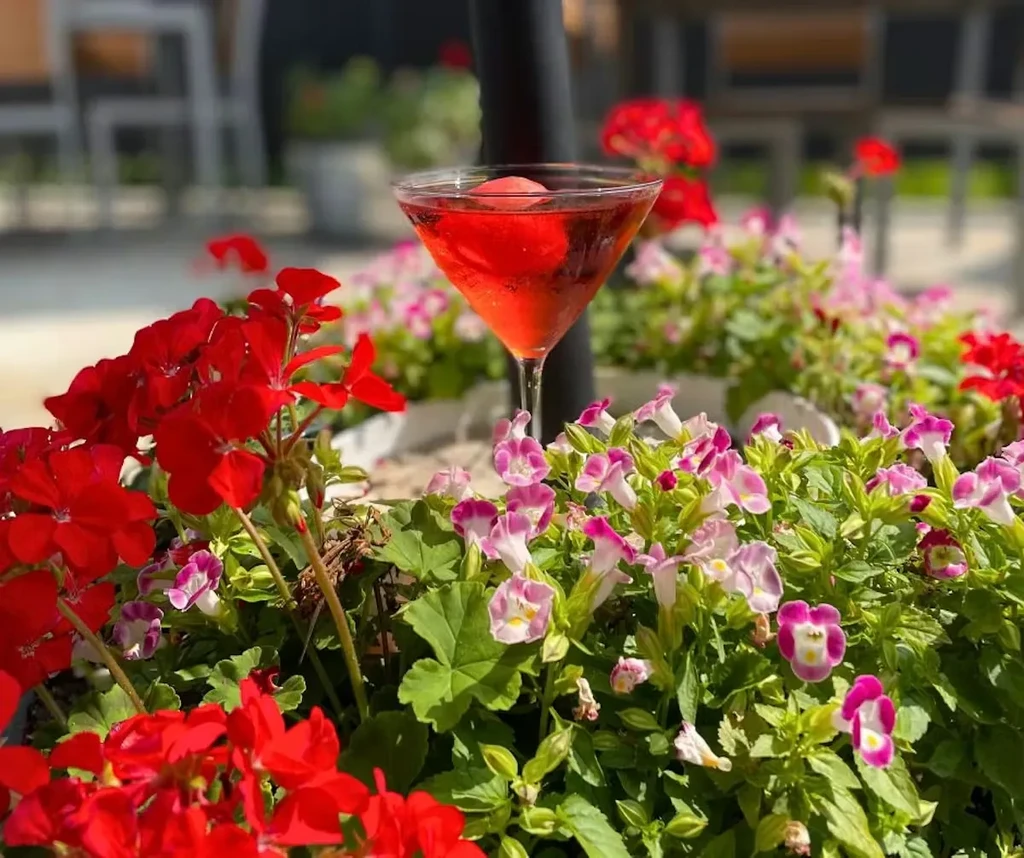 Red cocktail in martini glass surrounded by colorful flowers outdoors.