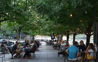 Outdoor dining area under trees with string lights and people.