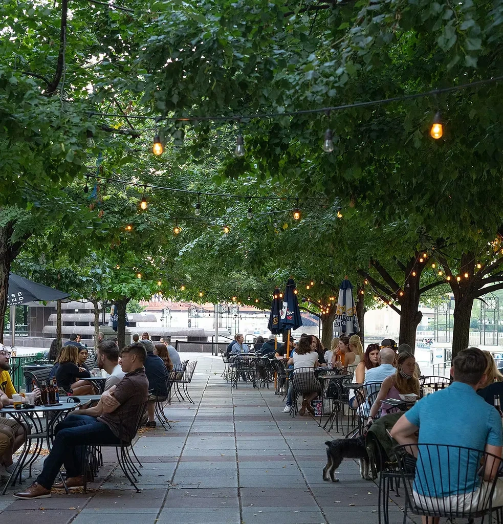Outdoor patio with string lights, trees, tables, people, and a dog.