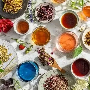 Flat lay of dried herbs and flowers for tea with colorful liquids.
