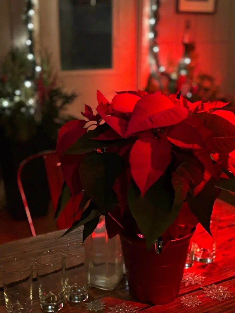 Potted poinsettia plant on a wooden table with scattered snowflake decorations.