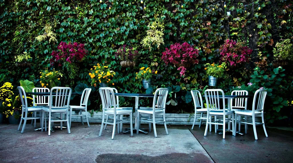 Outdoor dining area with silver chairs against an ivy-covered wall.