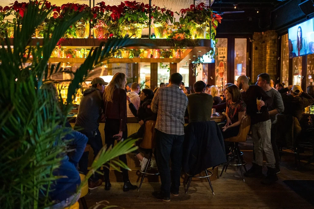 Dimly lit bar with people socializing, decorated with red and green plants.