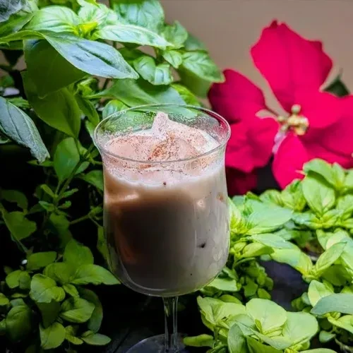 Creamy beverage with spice topping, lush green foliage background.