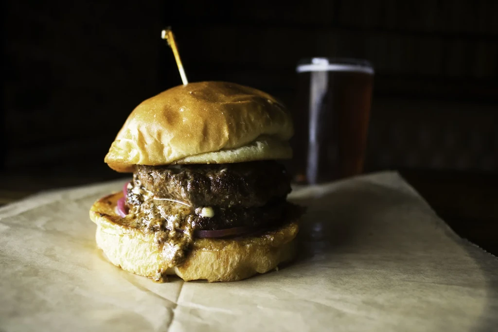 Gourmet burger with melted cheese, red onion, and savory sauce.