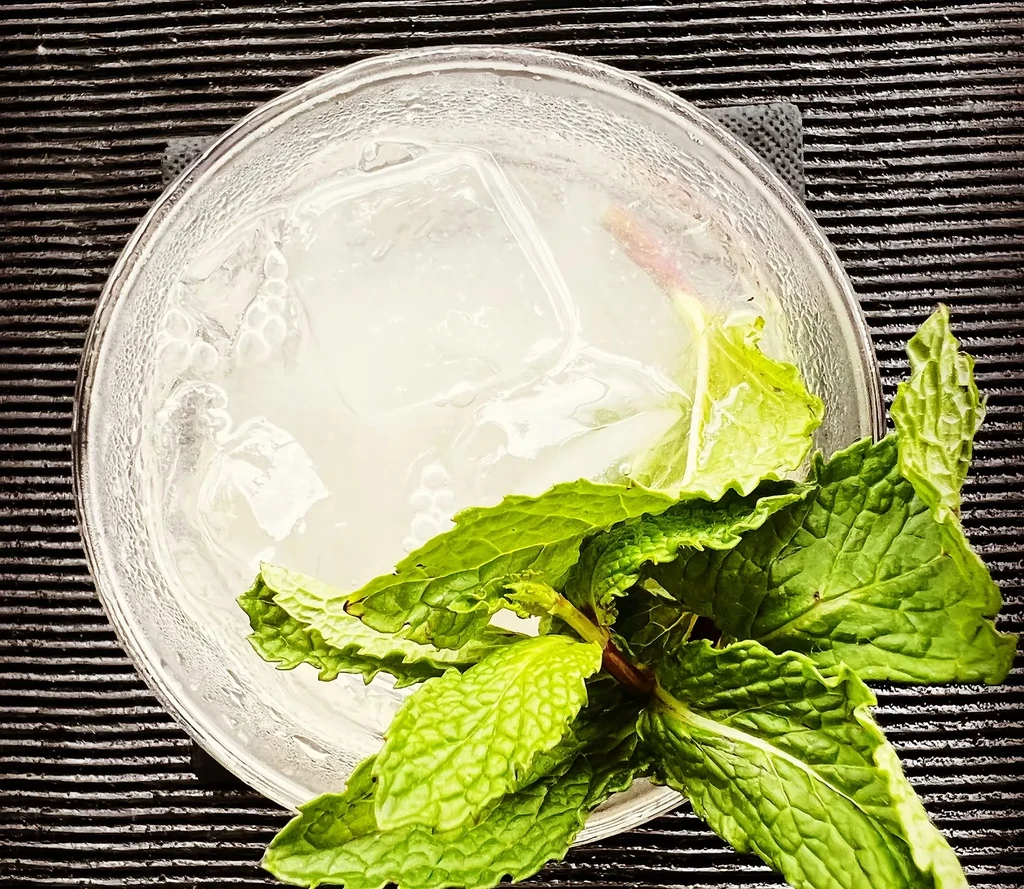 Cold beverage in a glass with ice, condensation, and fresh mint.