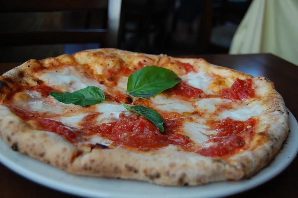 Freshly baked Neapolitan pizza: charred crust, tomato, mozzarella, basil.