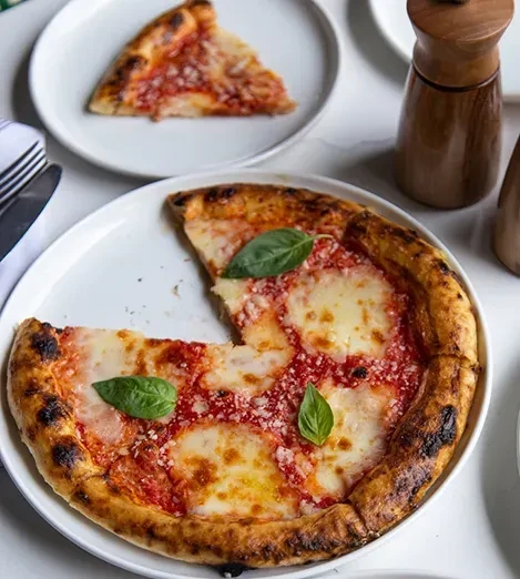 Close-up overhead Neapolitan pizza with basil, mozzarella, and charred bubbly crust.