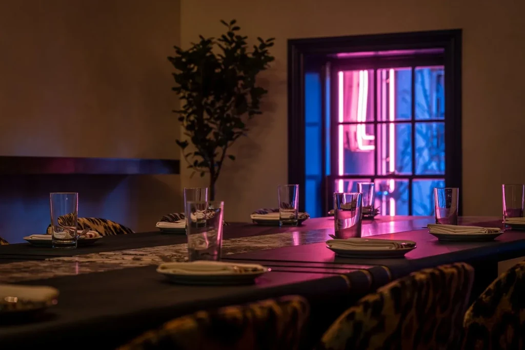 Set dining table, animal print chairs, and colorful neon reflections.