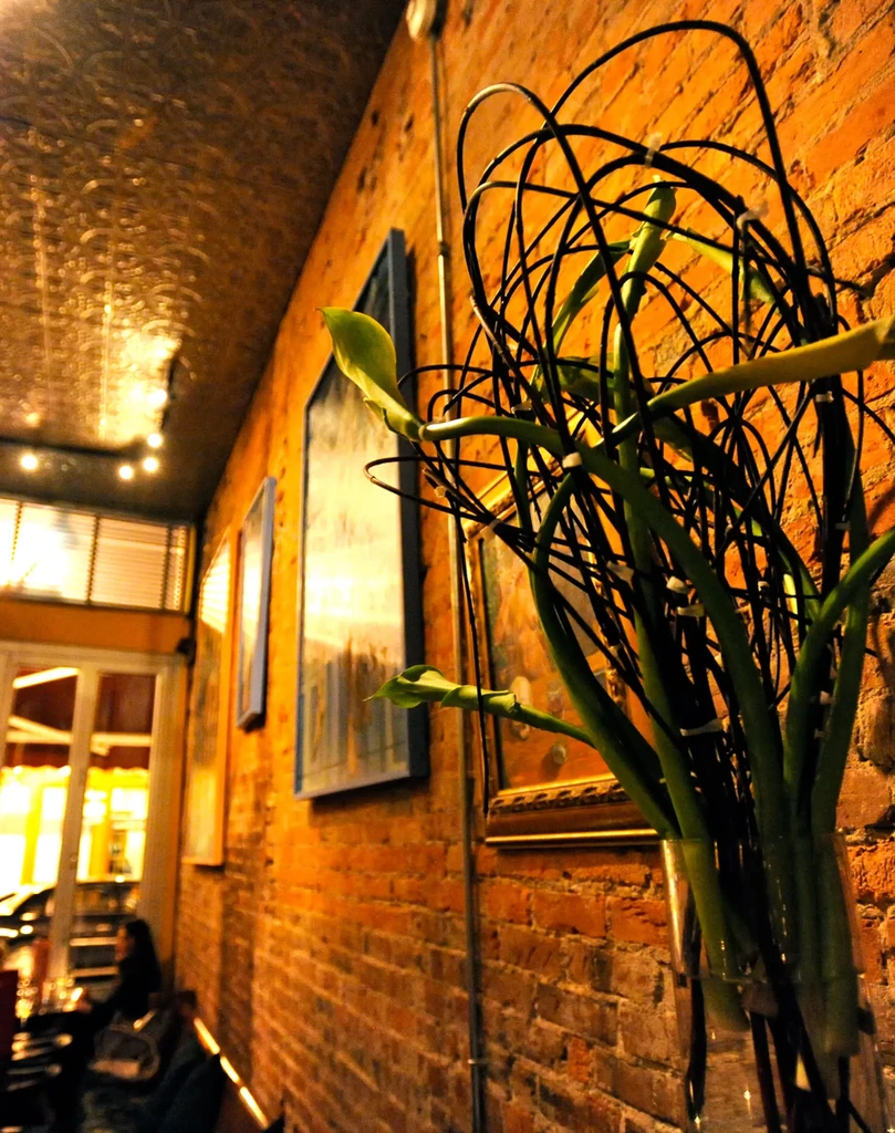 Sculptural plant in a warm, rustic restaurant with a brick wall.