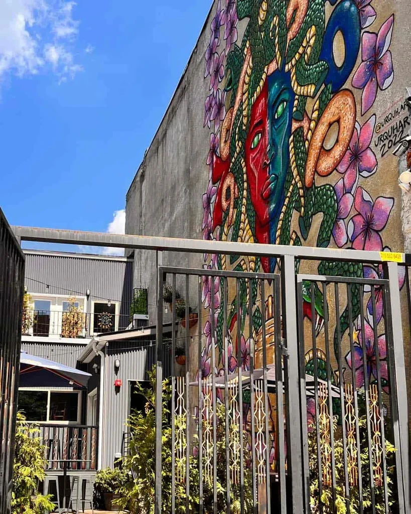 Alleyway mural of a stylized face with snake hair and pink flowers.