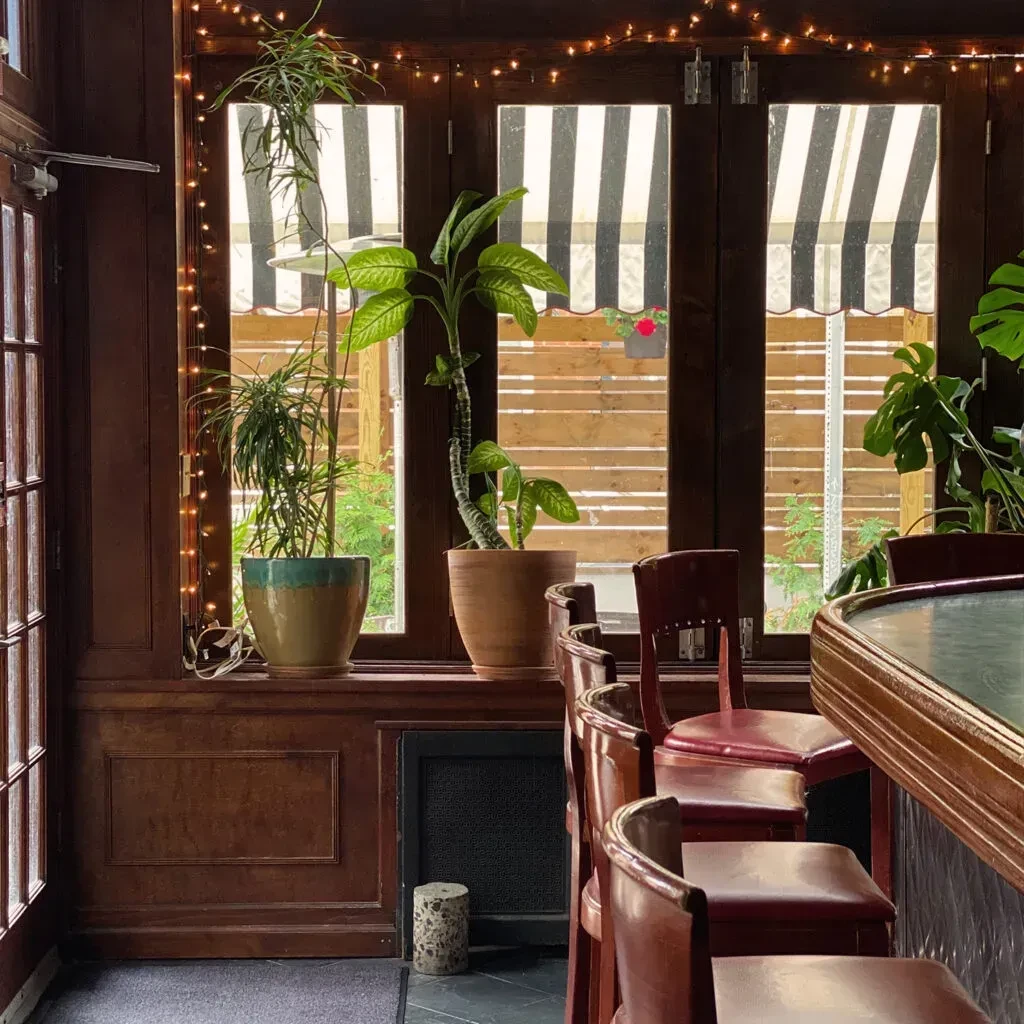 Cozy bar interior with dark wood, plants, string lights, and stools.
