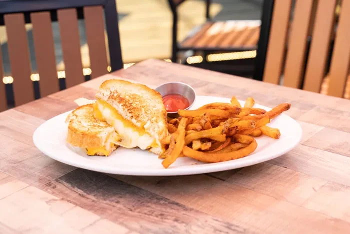 Grilled cheese sandwich, french fries, and ketchup on a wooden table.