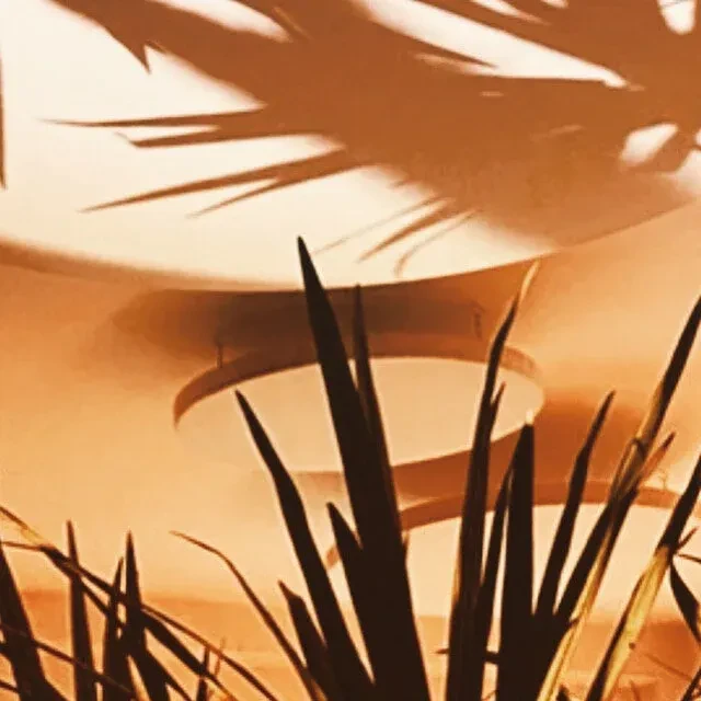 Warm, sepia-toned indoor: silhouetted plants, foliage shadows on a curved wall.
