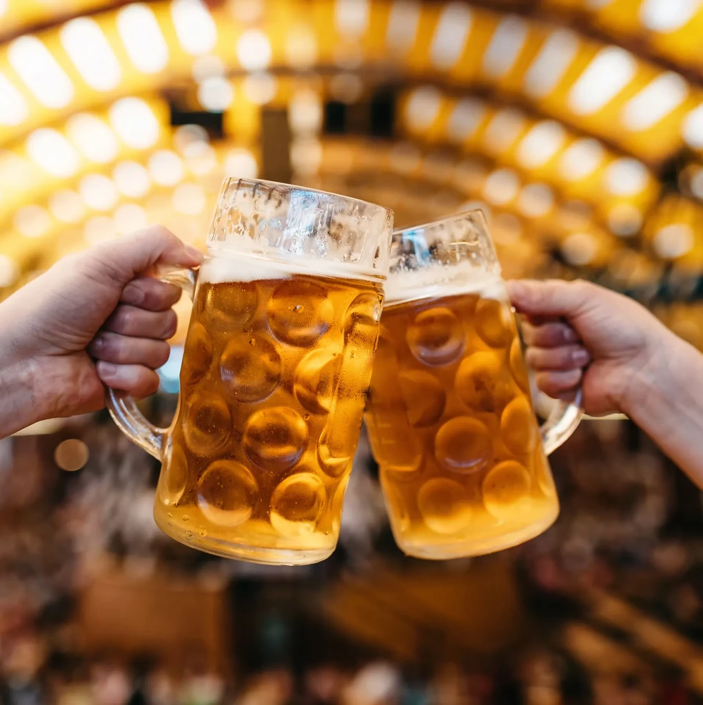 Hands clinking dimpled glass beer steins filled with amber beer.