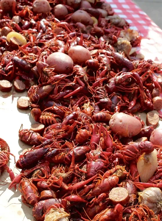 Vibrant close-up of boiled crawfish, potatoes, sausage, and garlic.